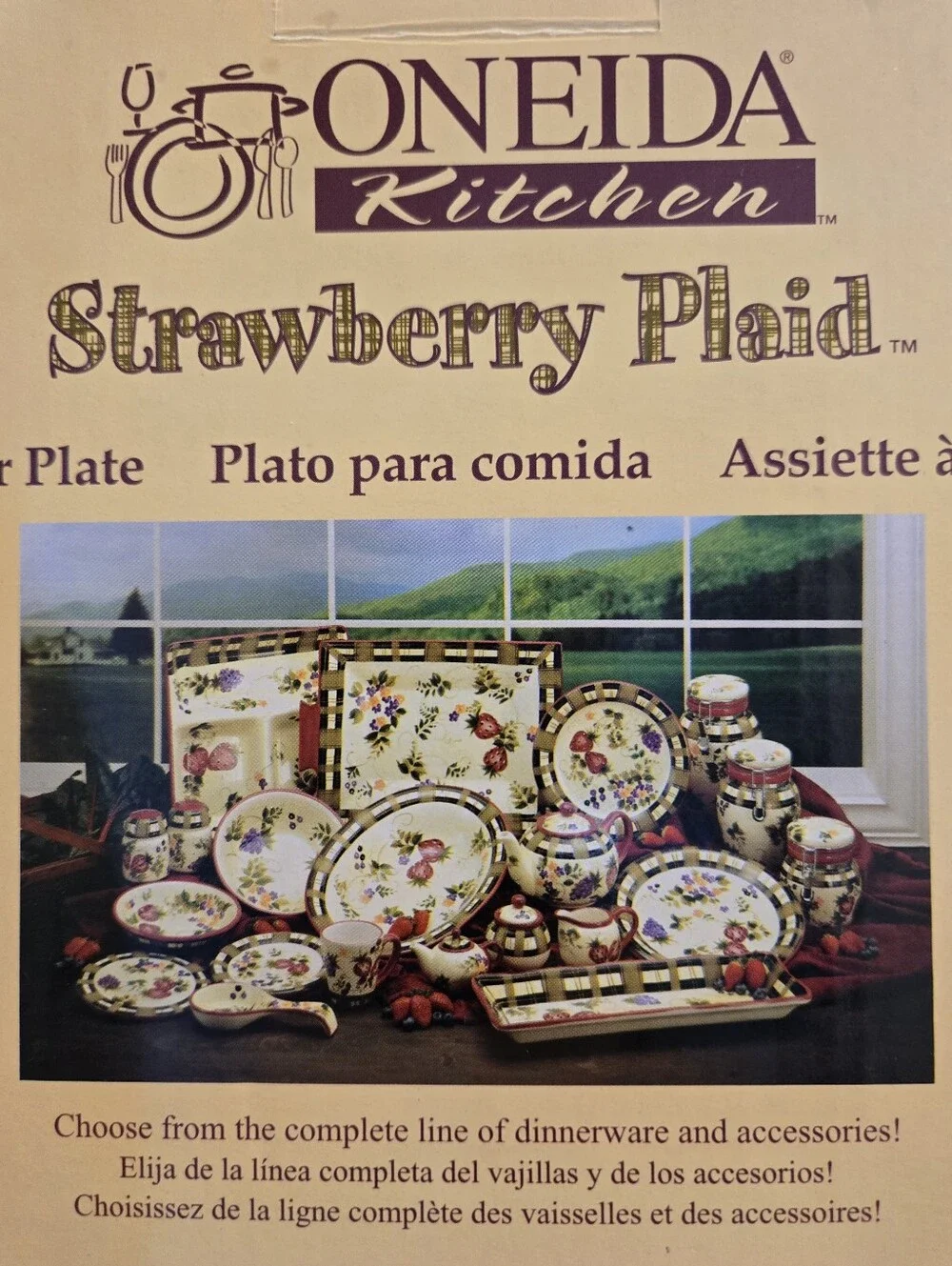 Oneida Strawberry Plaid Dinner Plate